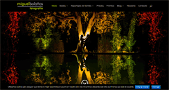 Desktop Screenshot of miguelbolanos.com